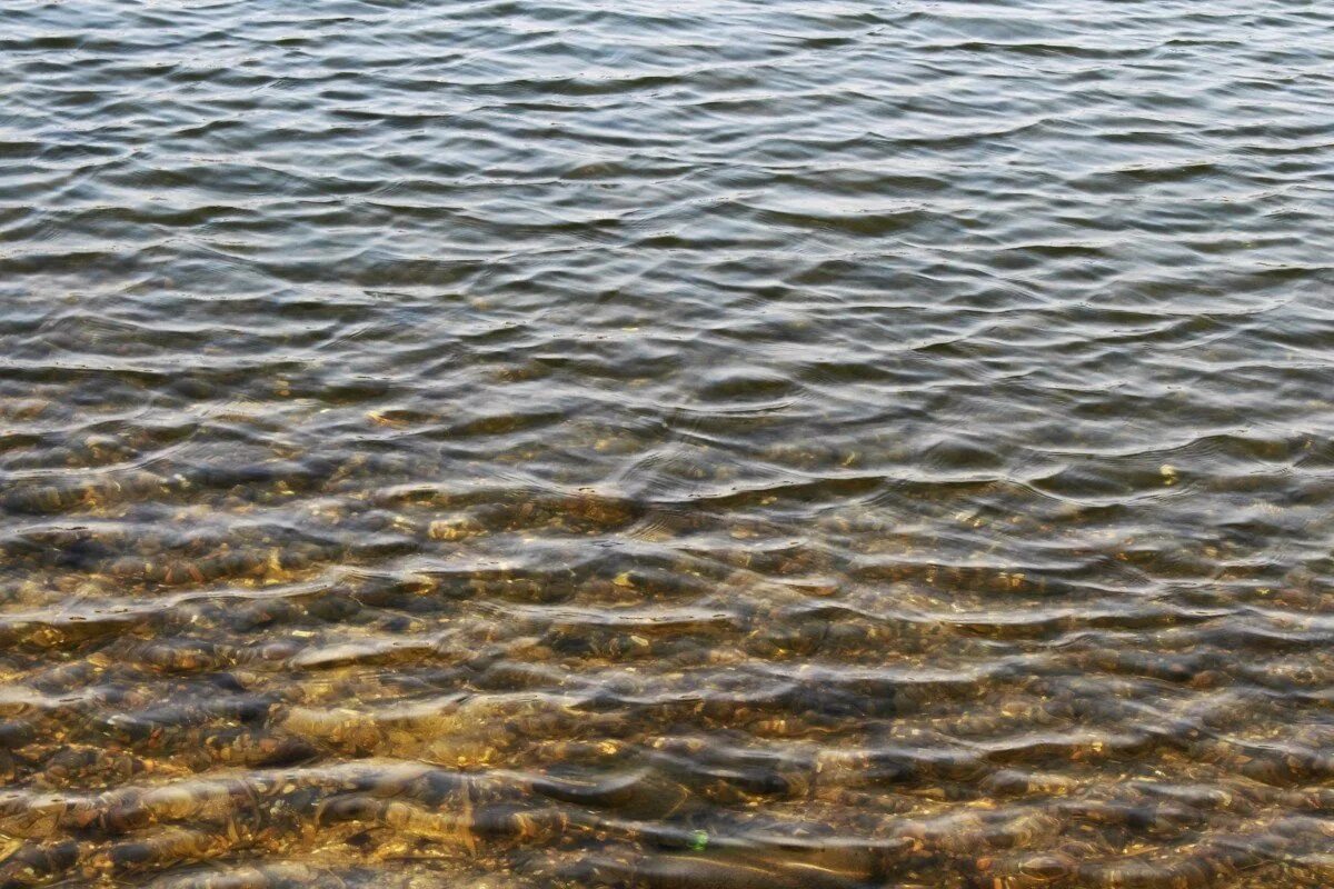 Вода в реке становится прозрачная. Вода река. Гладь воды. Поверхностные воды. Водная поверхность озера.