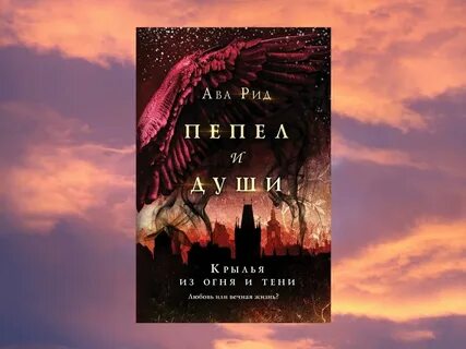 Книга 2 души