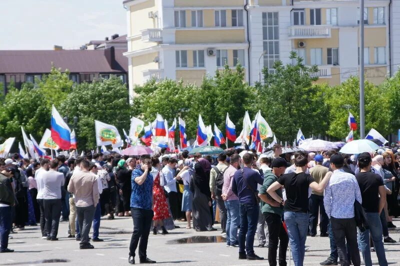 Чеченская 2018. Чечня 2018.