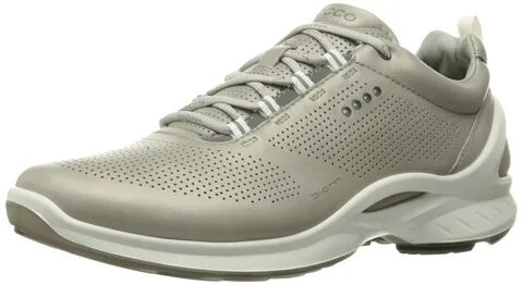 Ecco biom 2.2