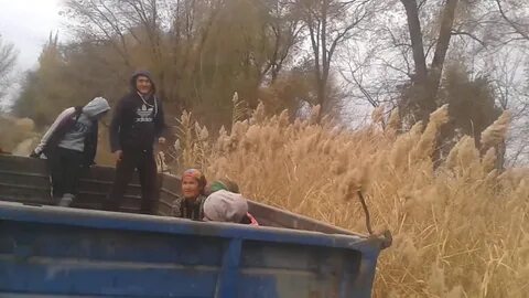 Погода жер