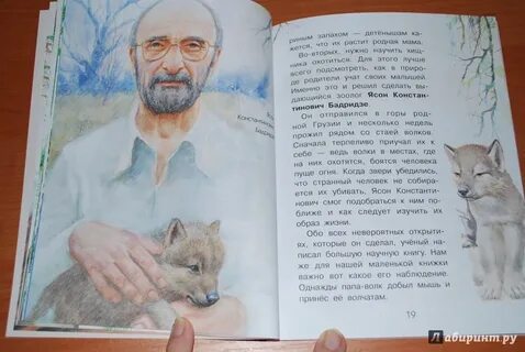 Сказки почему звери