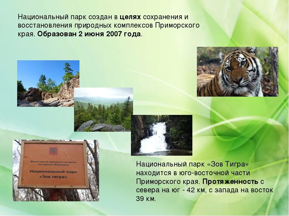 Цель создания природных парков. Национальный парк Зов тигра Приморский край. Национальный парк Зов тигра презентация. Зов тигра национальный парк животные. Национальный парк Зов тигра животные презентация.