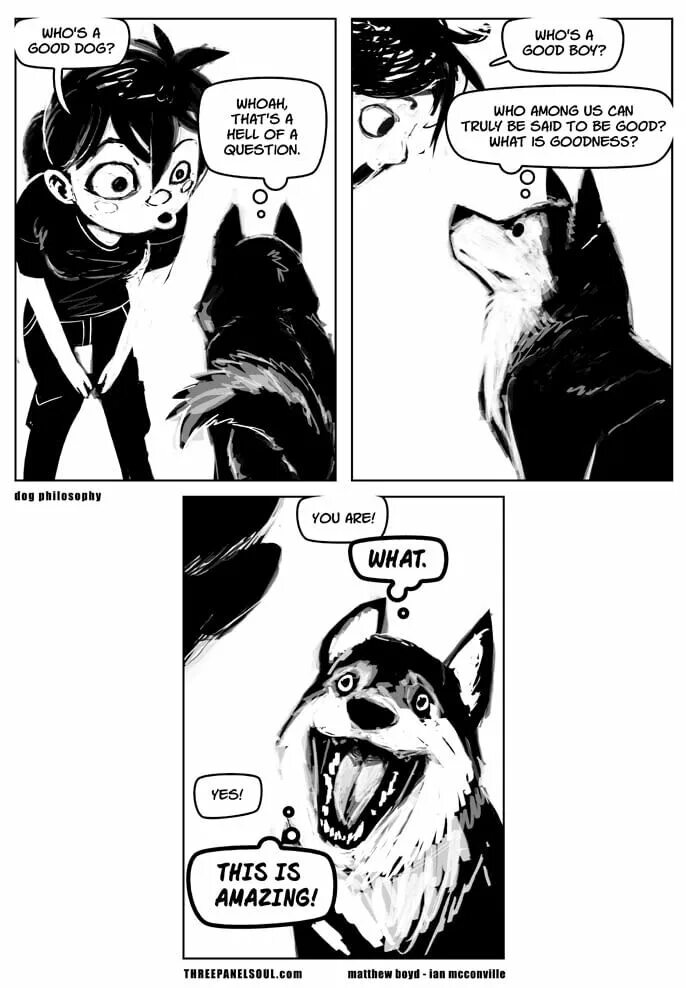 Домашние животные для детей. Картинки на рабочий стол кошки и собаки. Собаки. Мемы с собаками. Дога бест.