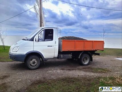 Газель земли
