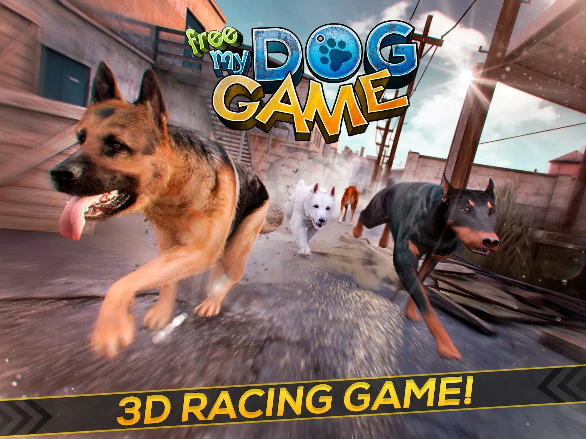 My dogs 3