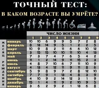 Через сколько я умру тест