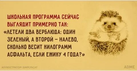Цитаты про учебный год