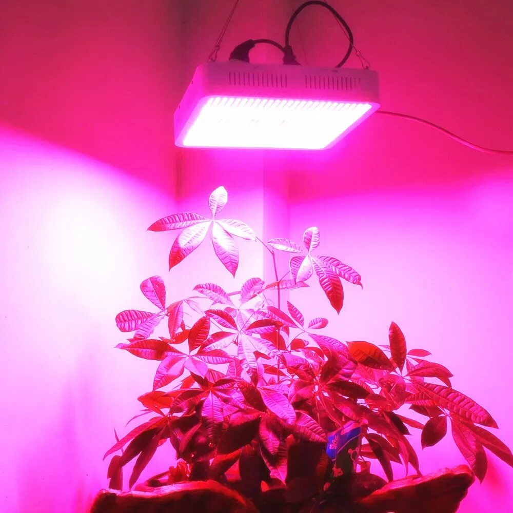 Фито светильник для растений. "Полный спектр - 20 ватт". Фитолампа grow Light 40 Вт. Led grow Light 400w. Led лампы для растений 600w 220v. Светодиодные светильники полного спектра