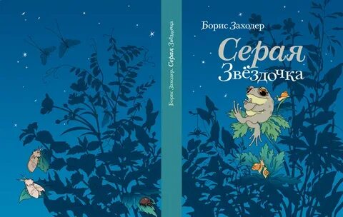 Заходер серая звездочка краткое