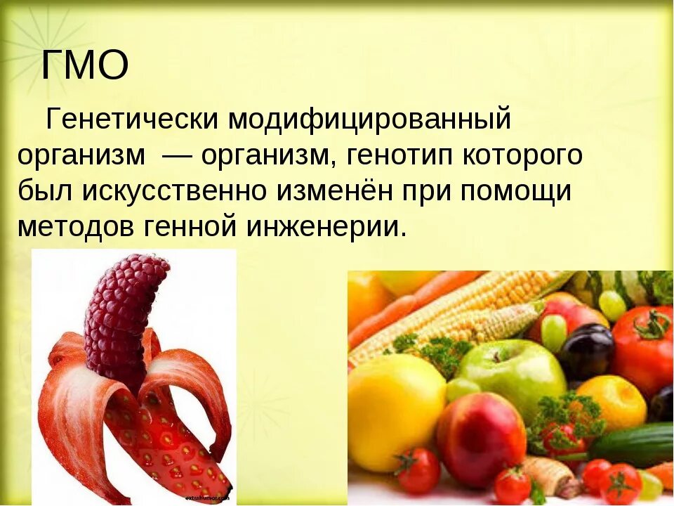 Гмо информация