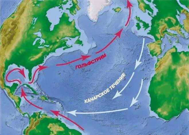 Мощное теплое атлантическое течение. Гольфстрим и Куросио течение. Течения Северной части Атлантического океана. На карте течение Гольфстрим западных ветров. Течение Гольфстрим на карте.