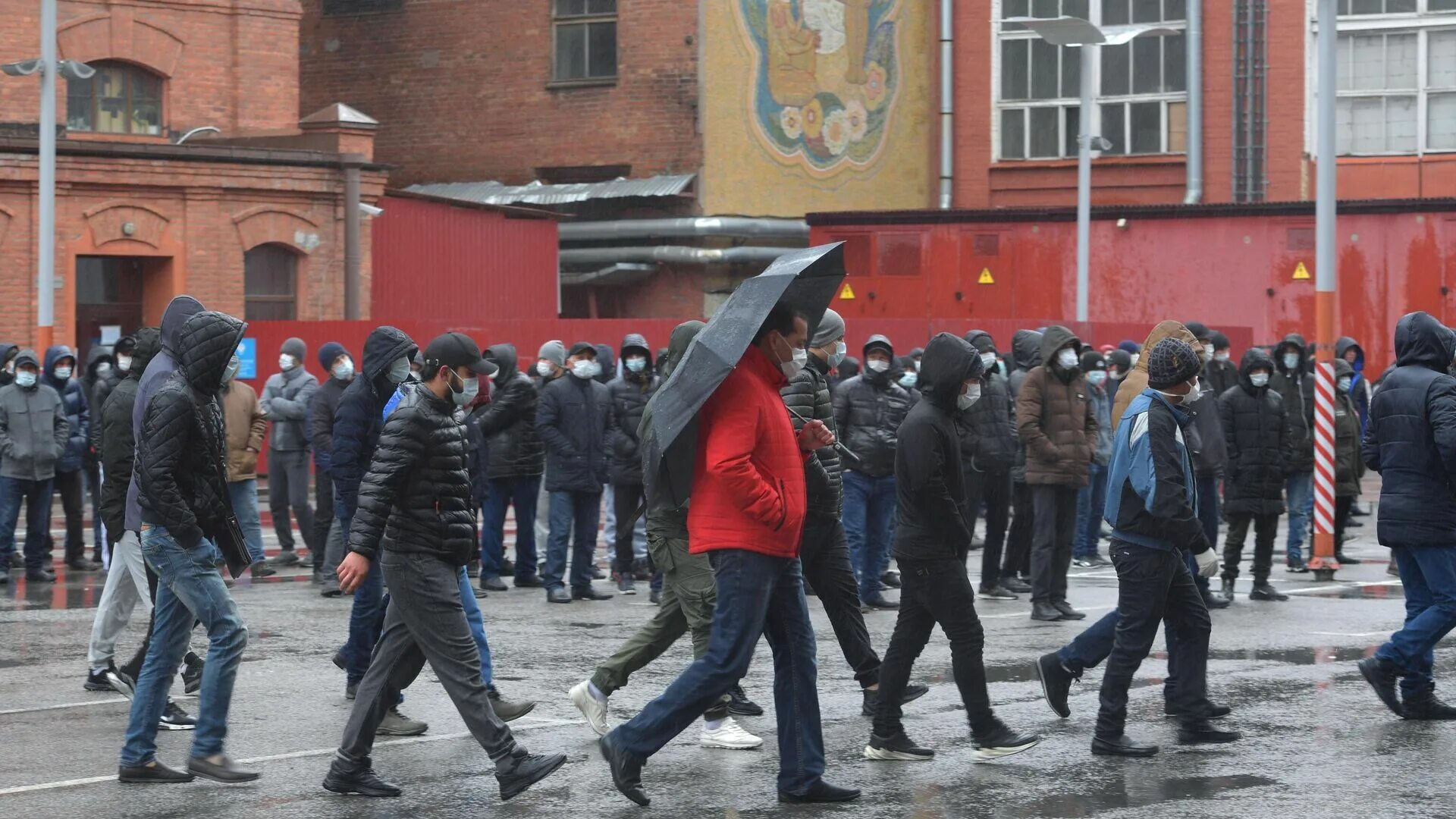 Миграция в петербург