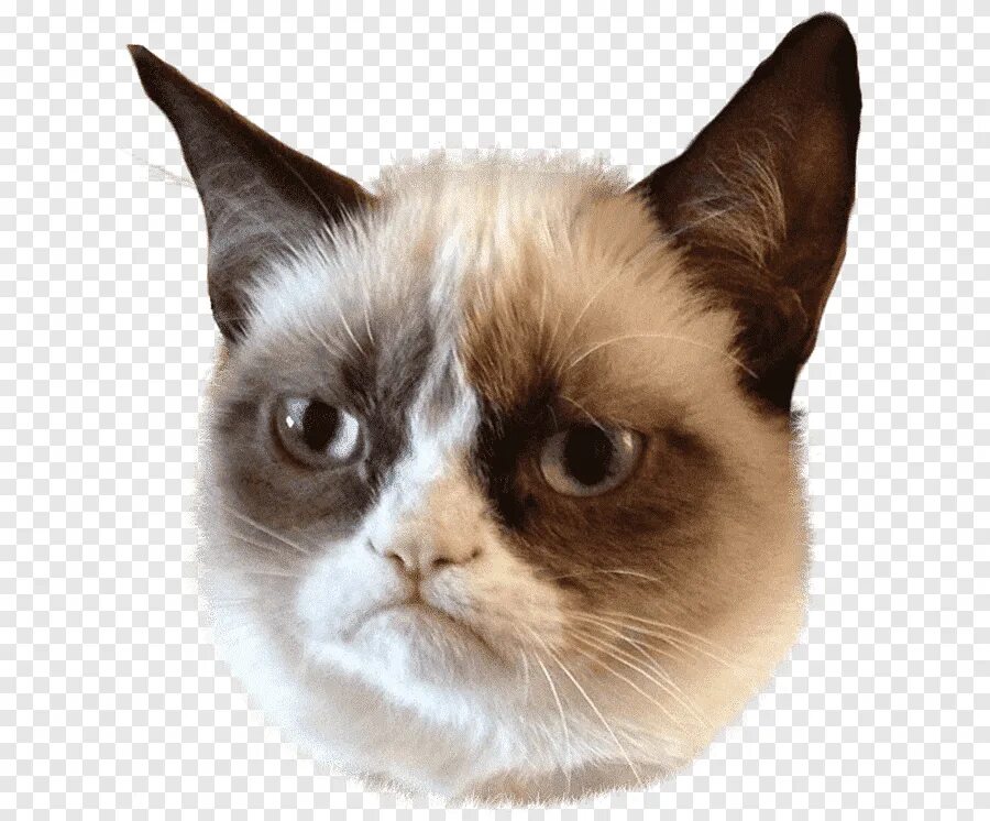 Трон 2015 дорама. Спасибо девочки. Спасибо девочки. Чхве джэ хо. Ах ю.