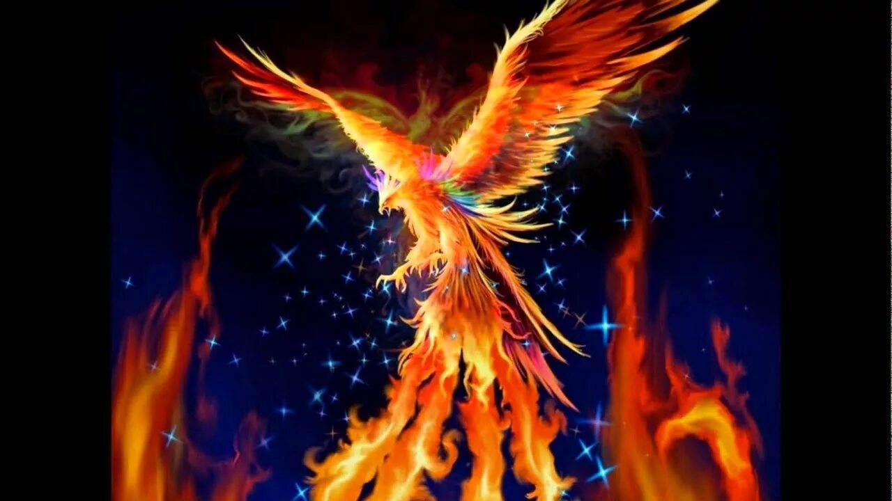 Рарог сокол феникс финист. Феникс дота 2 арты. Phoenix spirit. Сузаку дракон феникс. Ave fenix.