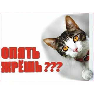 Стикер жрешь