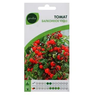 Семена томатов чудо