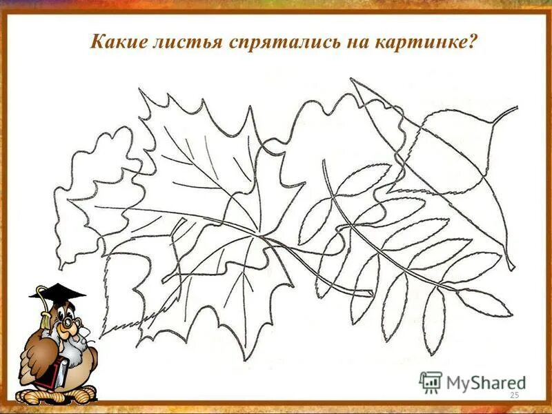 Осень задания 7 лет. Осенние листья задания. Какие листья спрятались на картинке. Осенние задания для дошкольников. Задания для детей по теме деревья.