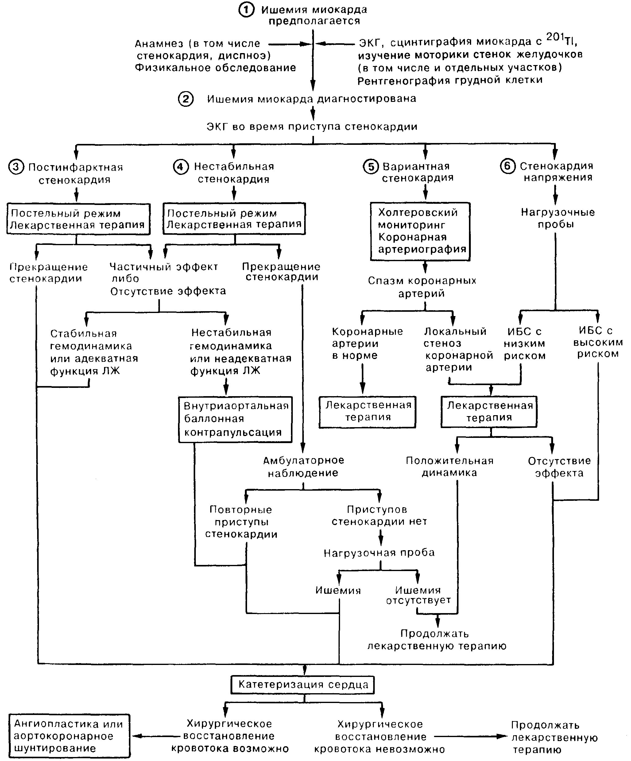 Клинические проявления острой ишемии миокарда. Субэпикардиальная ишемия на экг. Назовите основные причины острой ишемии миокарда. Субэндокардиальная ишемия на экг. Механизмы развития ишемии патофизиология.