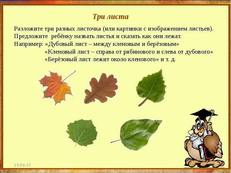 Слова как листья на дереве. Загадки про листья деревьев. Осенние загадки на листьях деревьев. Лист с информацией. Описание листьев осенью.