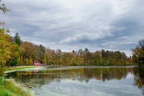 Санаторная ул вл1 село марфино
