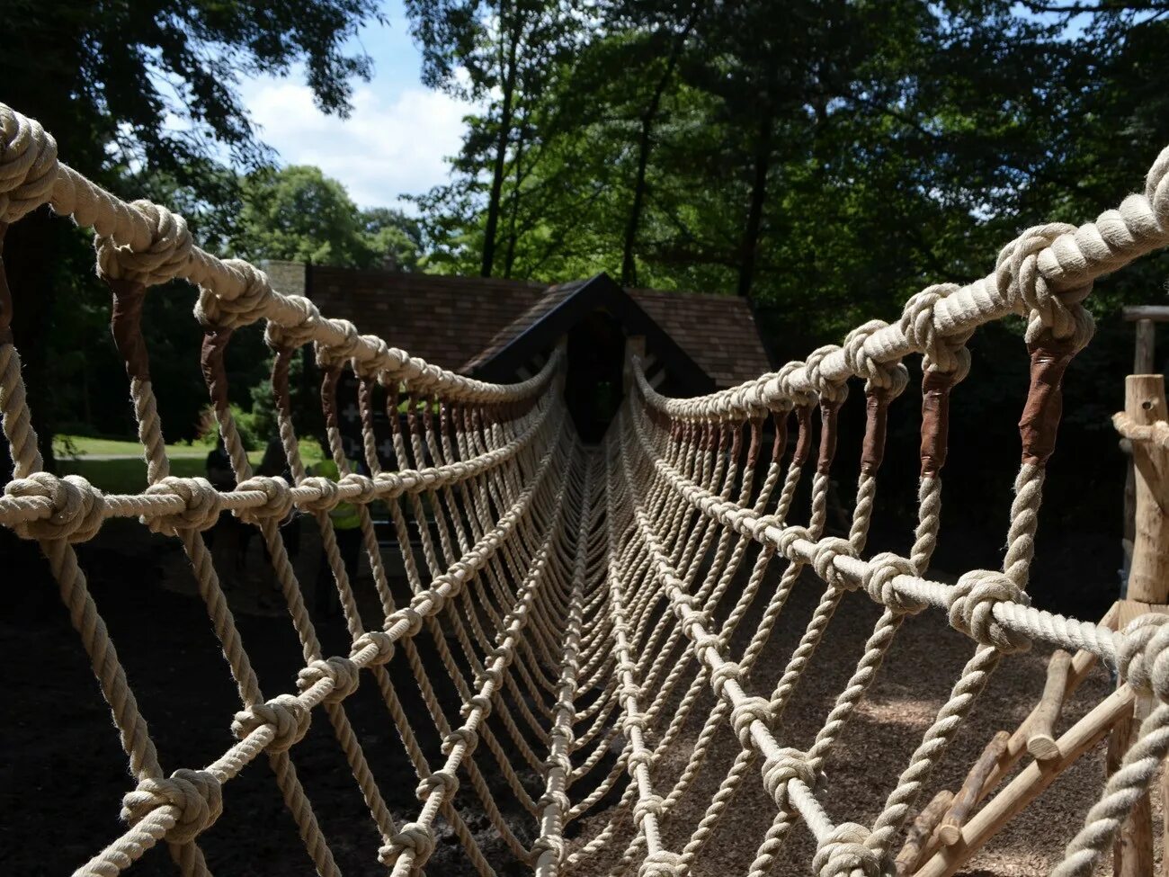 Bridge net
