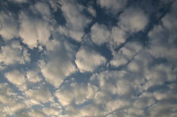 Altocumulus another nice cloud @ Windy Community
