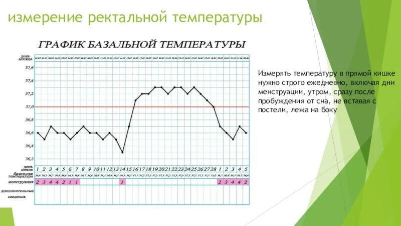 Если в течении суток замеры температуры. Ректальное измерение температуры. Измерение базальной (ректальной) температуры. Измерение температуры в прямой кишке. Измерение ректальной температуры у женщин.