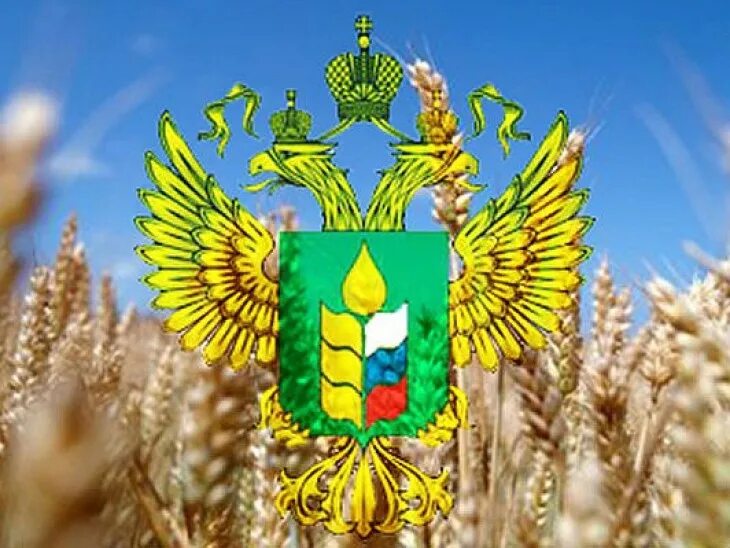 министерство сельского хозяйства российской федерации логотип. министерство сельского хозяйства рф. министерство сельского хозяйства рф (минсельхоз). минсельхоз россии. мсх рф логотип.