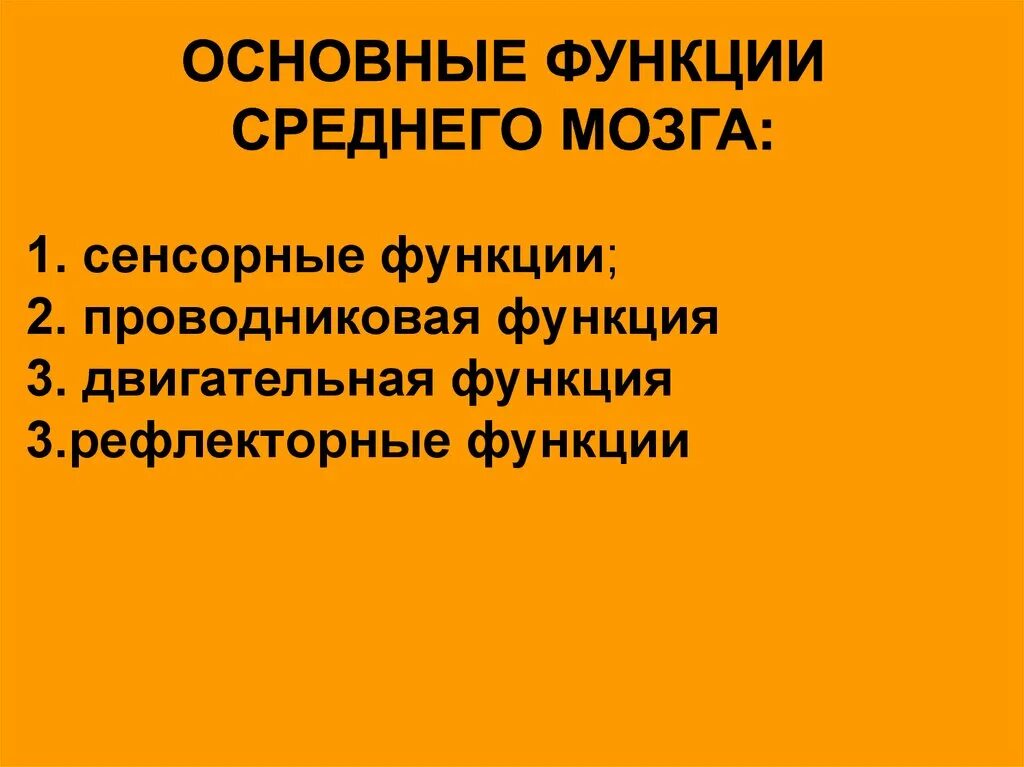 Основные функции среднего мозга. Основная функция среднего мозга. Функции среднего мозга кратко. Средний мозг проводниковая функция. Перечислите функции среднего мозга