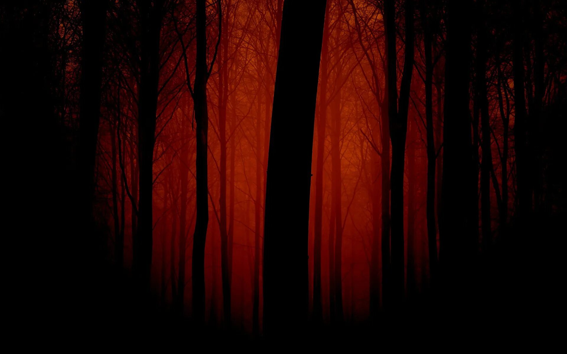 Ужасный фон. Темный лес. Мрачный лес. Кровавый лес. Мрачный фон.