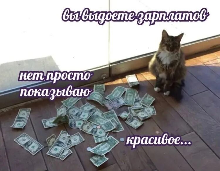 Продаете показываем красивое