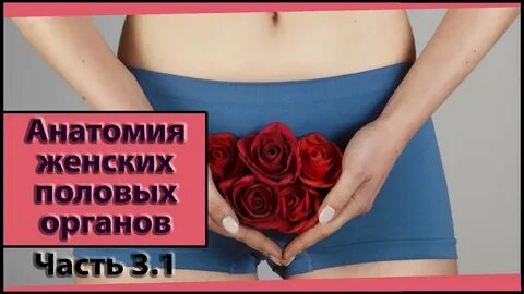Видео женского пола