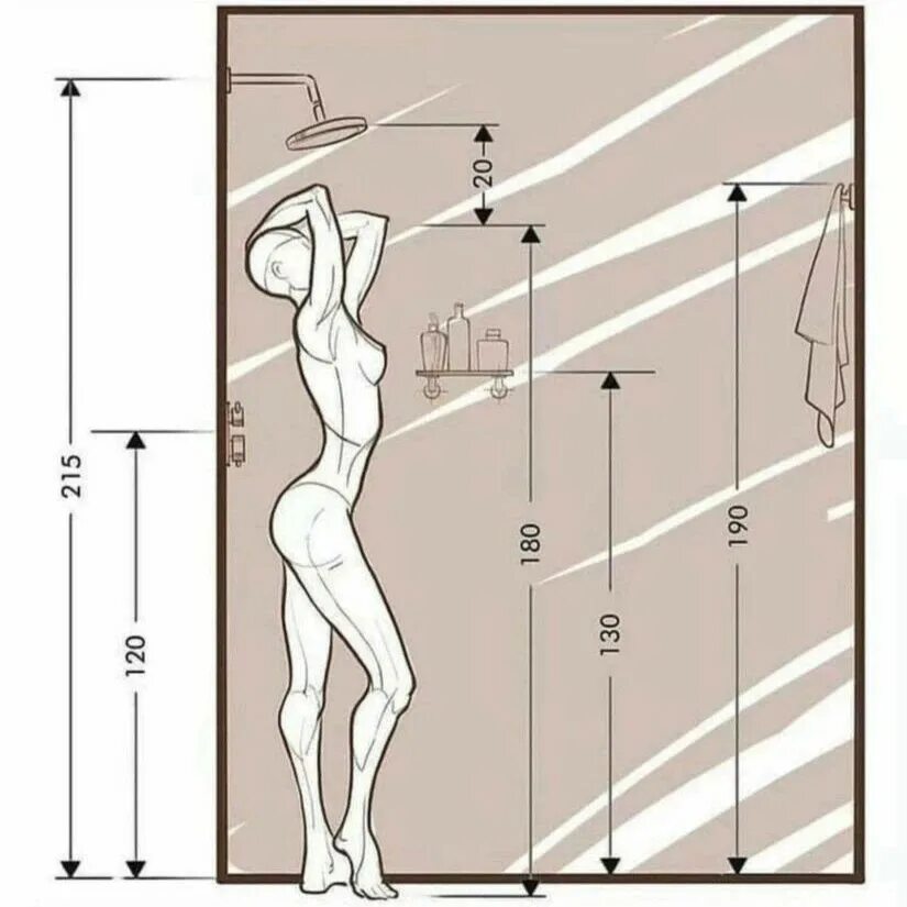 Какой должна быть минимальная высота зеркала. Душевая эргономика. Эргономика ванной комнаты. Эргономика расположения в санузле. Ширина душевой кабины эргономика.