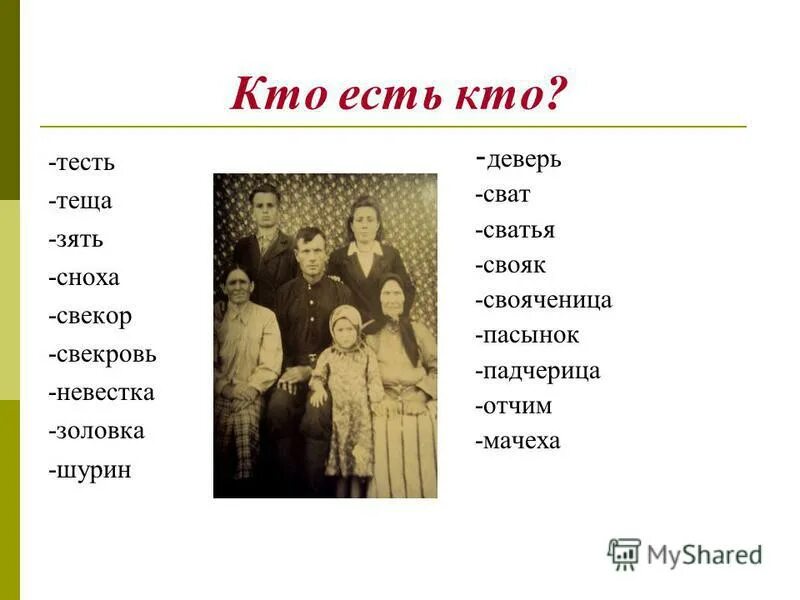 Названия родственников в семье. Деверь сноха золовка. Сноха свекровь золовка тесть. Деверь Шурин золовка сноха.