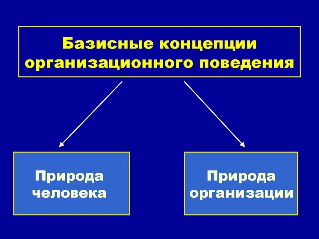 Организационное поведение. Предмет теории организационного поведения. Концепции организационного поведения. Презентация на тему организационное поведение. Цель организационного поведения