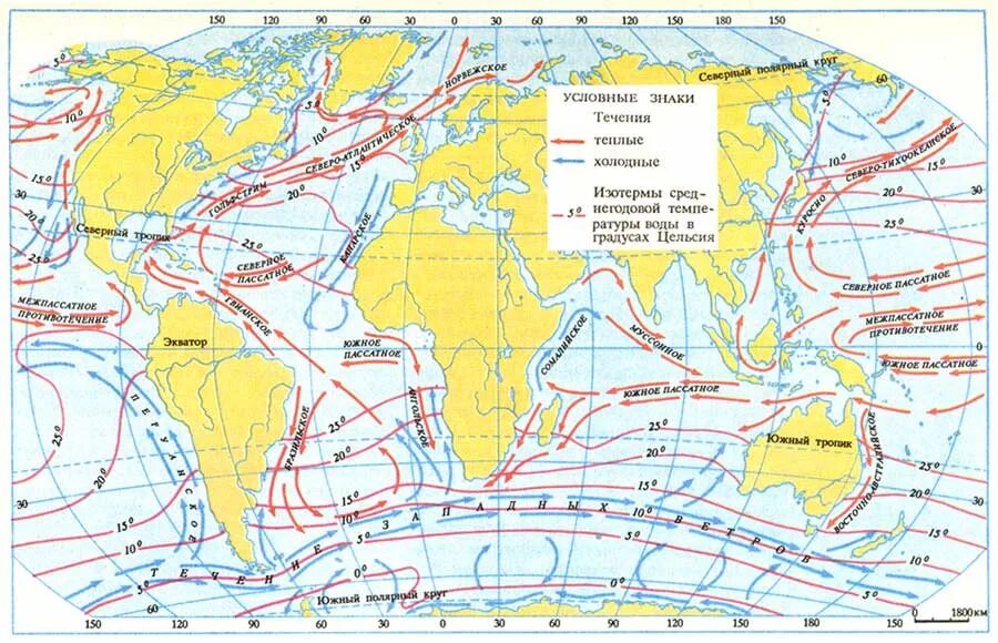 Все холодные течения. Тёплые течения мирового океана на карте. Карта поверхностных течений. Тёплые и холодные течения на карте мирового океана. Теплые и холодные течения на карте мира.