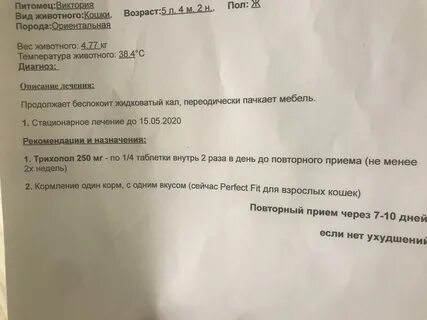 Трихопол побочные действия у женщин