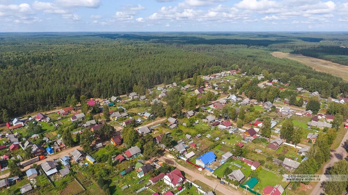 Пестово Новгородская область. Деревня Пестово Новгородская область. Пестово. Пестовский район. Новгородская обл. Пестовский район деревня Пестово..