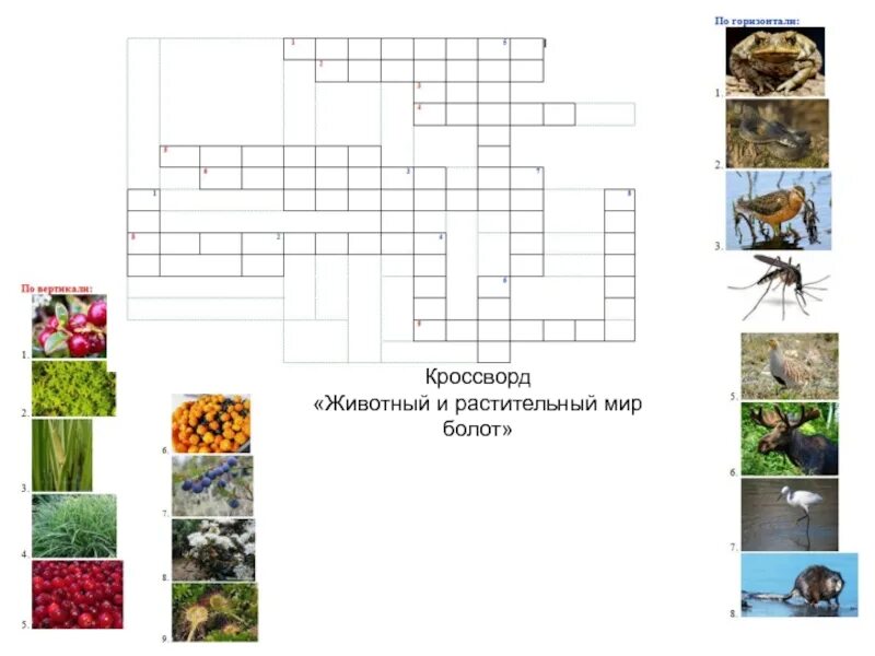Составьте кроссворд природное сообщество выбрав одно луг. Кроссворд про животных и растений. Кроссворд животные и растения. Кроссворд про животных. Кроссворд растительный мир.