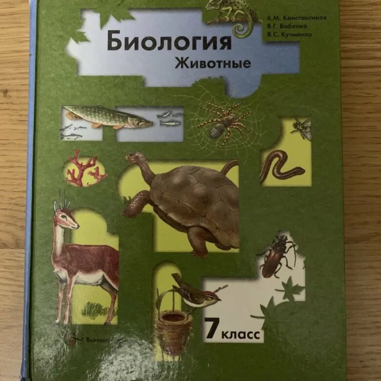 Биология 8 класс константинов бабенко кучменко. Биология рабочая тетрадь 7 кл. Константинов, Бабенко, Кучменко. Биология. Животные Константинов, Бабенко 7. Биология Константинов Бабенко Кучменко. Константинов Бабенко Кучменко биология 7.