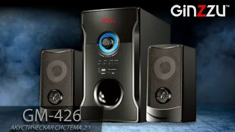 Ginzzu 2.1