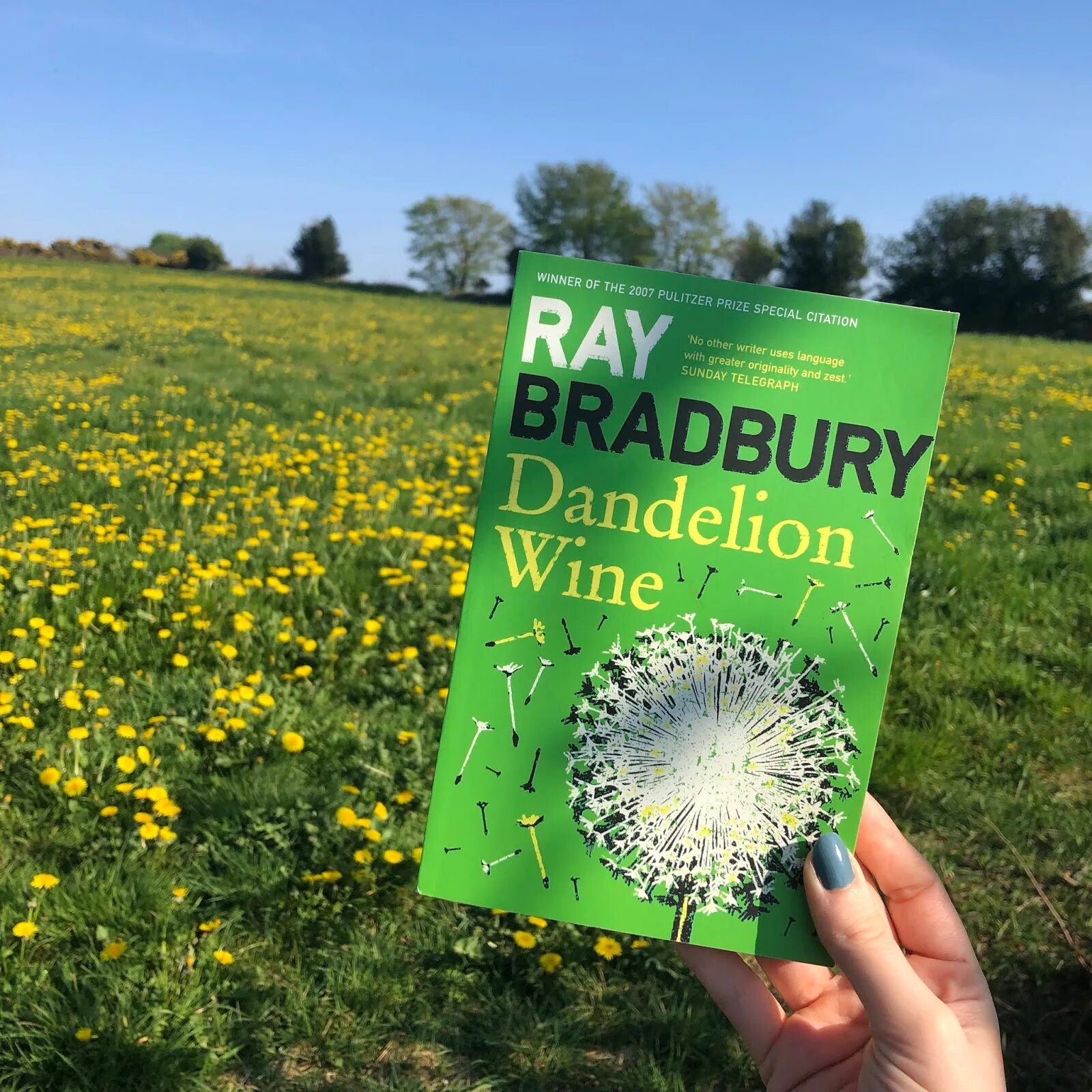 Вин брэдбери. Рэй Брэдбери Dandelion Wine. Bradbury ray "Dandelion Wine". Dandelion Wine книга. Вино из одуванчиков на английском.
