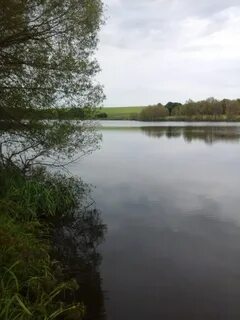 Прилепы рыбалка
