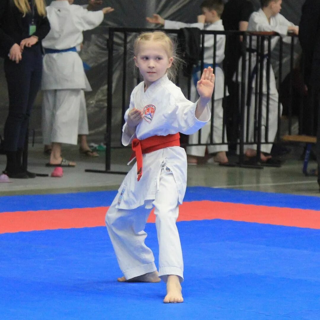 карате екатеринбург мебель. краснолесье 123 школа карате. тарко-сале каратэ киокушинкай. каратэ центр екатеринбург. загребский 9 карате бульвар каратэ.