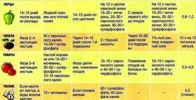 Какие удобрения вносить при посадке рассады помидор. Схема подкормки томатов. таблица внесения удобрений перца. схема подкормки рассады овощных культур. подкормка томатов таблица удобрения.