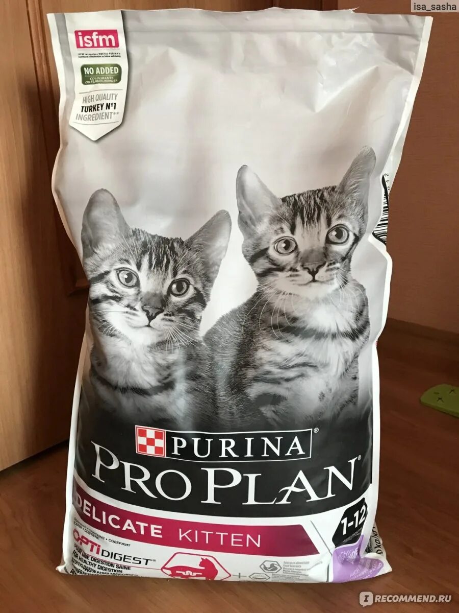 Purina pro plan для чувствительного пищеварения. Проплан Киттен для котят. Проплан Деликат для котят. Пурина Проплан для котят сухой. Пурина Проплан для котят с индейкой.