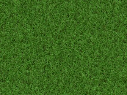 Grass 7