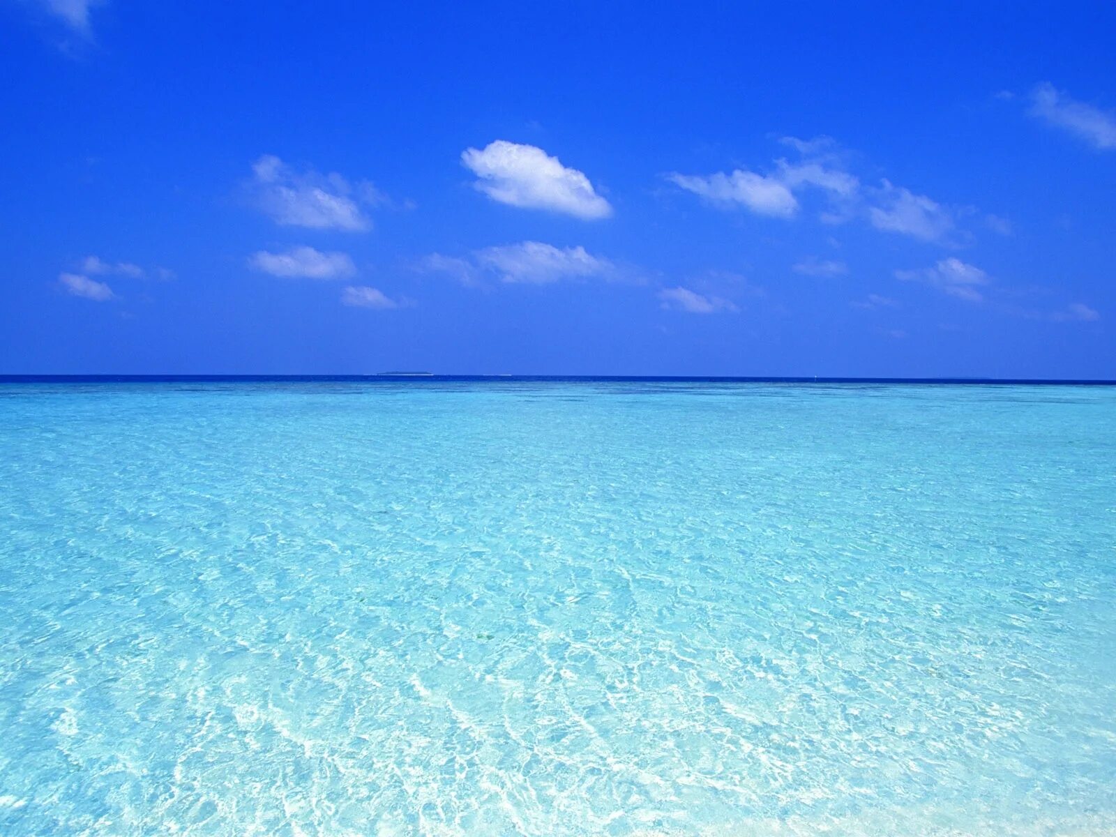 Море. Прозрачное море. Голубой океан. Голубое море. Голубая вода сегодня
