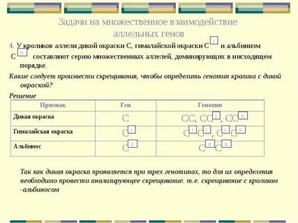 Задачи генов